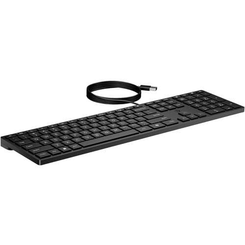 HP 320K Wired Desktop Keyboard