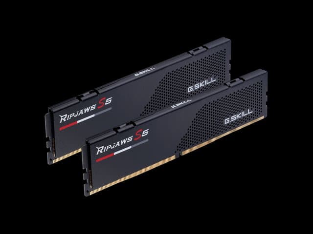 G.SKILL Ripjaws S5 Series 64GB (2 x 32GB) 288-Pin PC RAM DDR5 6000 (PC5 48000) Desktop Memory Model F5-6000J3636F32GX2-RS5K
