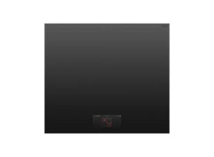 Fisher & Paykel 24" Induction Cooktop Black