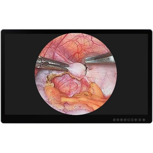 Lilliput 31.5" 4K Monitor