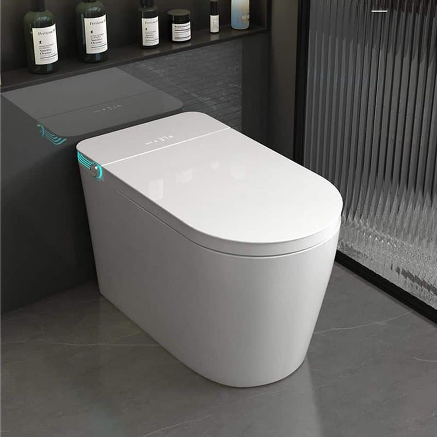 Crofutre Elongated Bidet Toilet