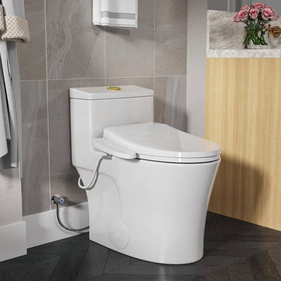 HOROW 1-piece Dual Flush Elongated Bidet Toilet