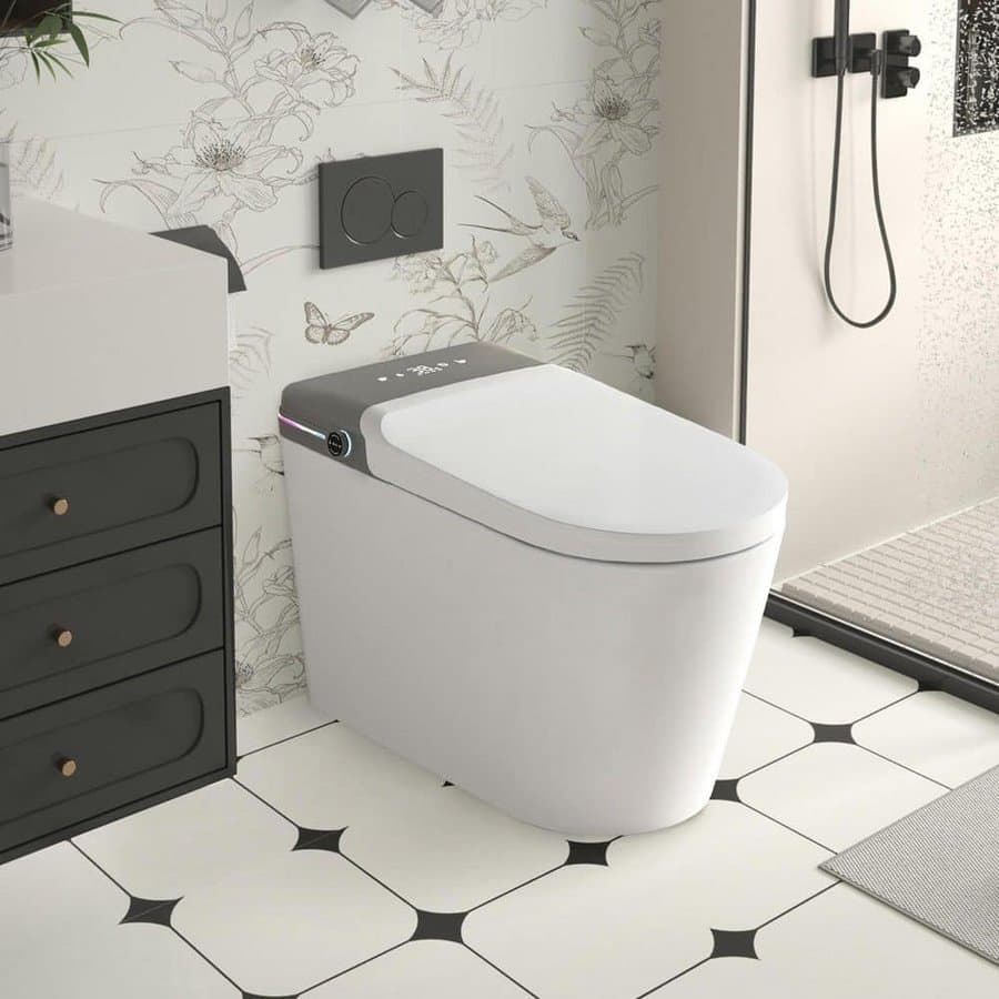 Catalina Elongated Bidet Toilet with Smart Features