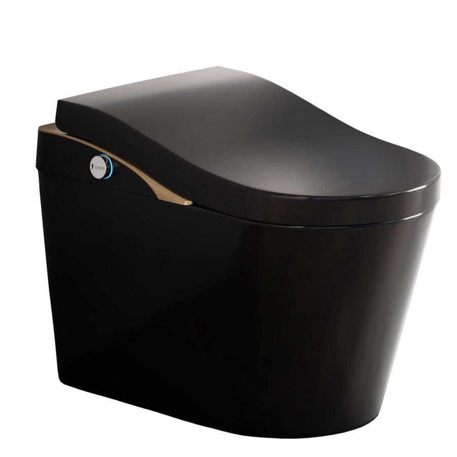 SANFANGIE BW Contemporary Bidet Toilet