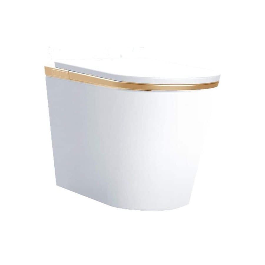 HOPROME Elongated Smart Bidet Toilet