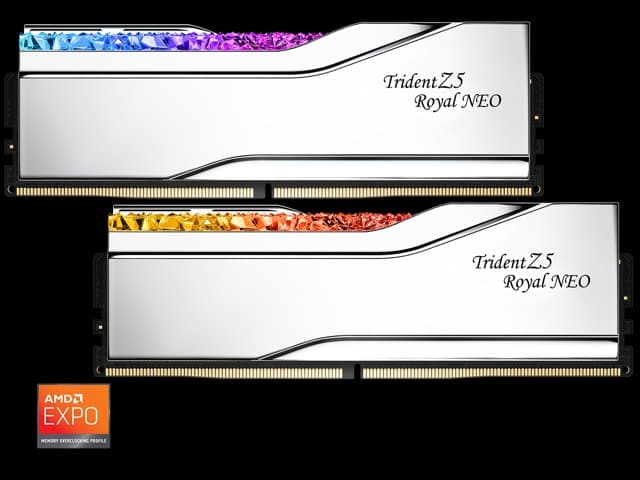 G.SKILL Trident Z5 Royal Neo Series 32GB (2 x 16GB) 288-Pin PC RAM DDR5 6000 (PC5 48000) Desktop Memory Model F5-6000J2836G16GX2-TR5NS