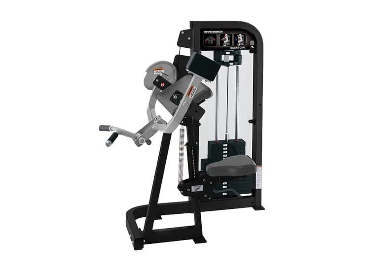 Life Fitness Hammer Strength Select Biceps Curl Workout Machine