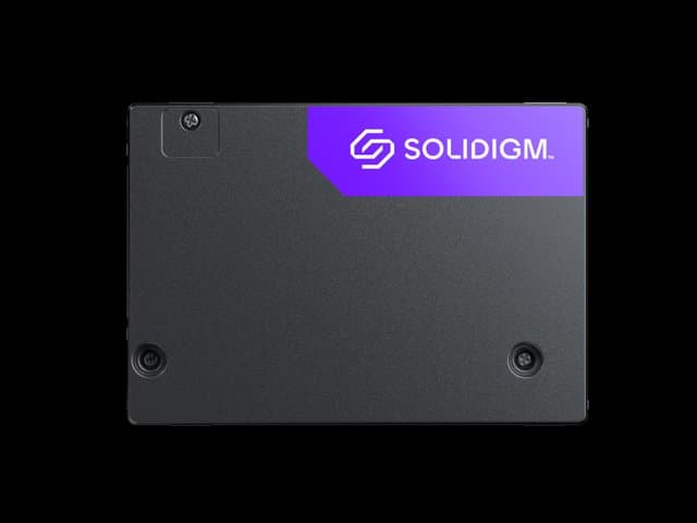 Solidigm D7-PS1010