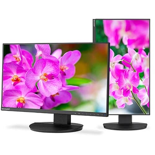 Sharp EA241F 23.8" HD Monitor