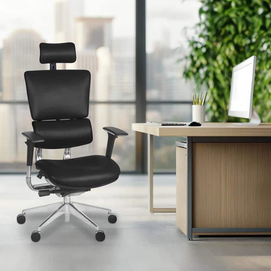 Leather Ergonomic Executive Office Chair, Black with Adjustable Arms