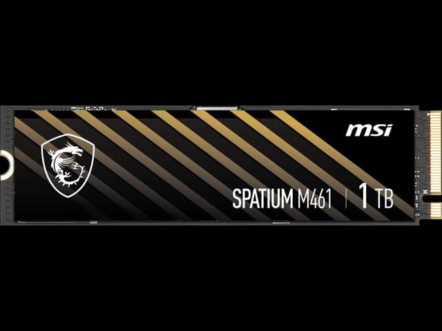 MSI M461 M.2 2280 1TB PCI-Express 4.0 x4 3D NAND