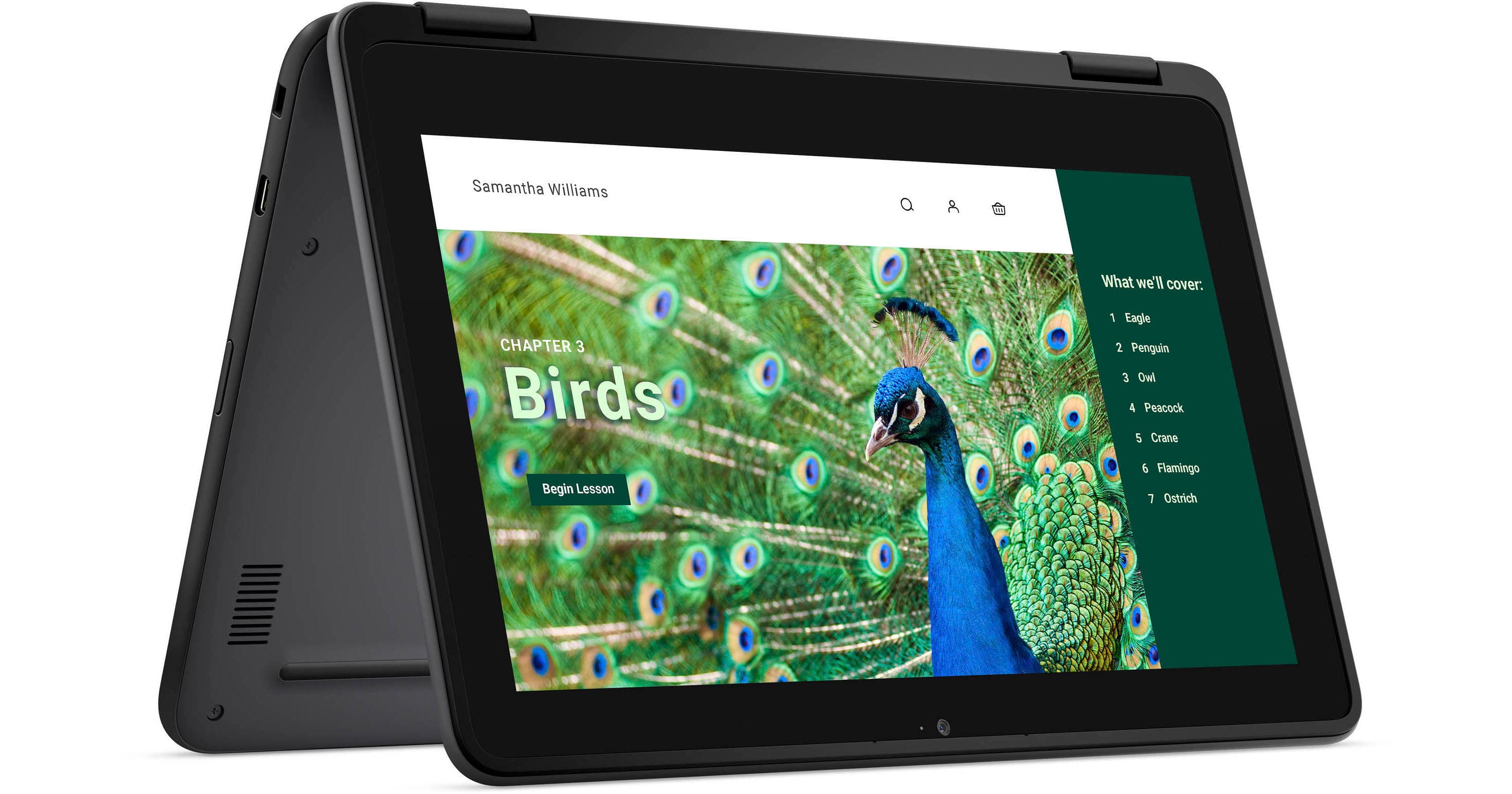 Dell 11.6" 3120 Multi-Touch 2-in-1 Chromebook