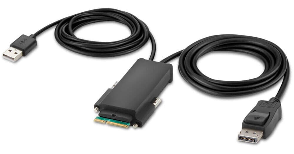 Belkin Modular DisplayPort Single-Head Host Cable (6')