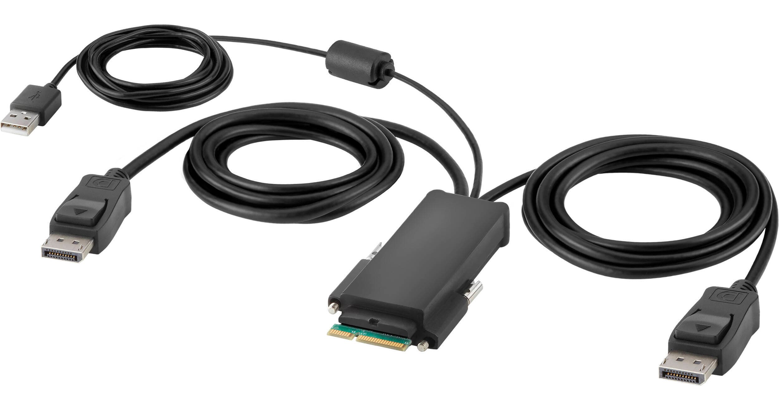 Belkin Modular DisplayPort Dual-Head Host Cable (6')