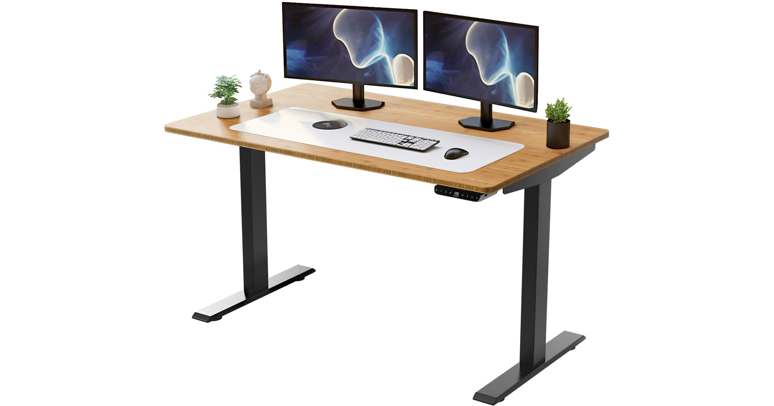 Uncaged Ergonomics Rise Up Electric Adjustable Height Sit/Stand Desk (Black Frame, Natural Bamboo Desktop)