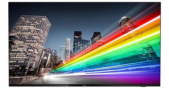 Philips 65BFL2214/27 65" UHD 4K Commercial TV