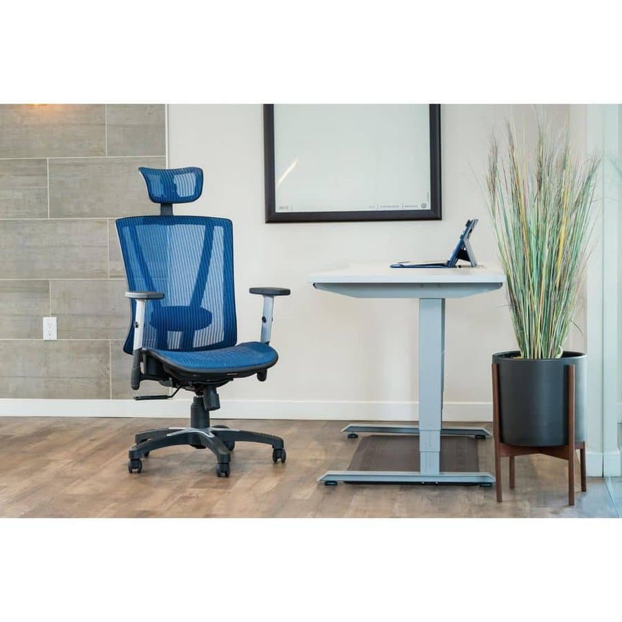 Ergomax Office Ergonomic Adjustable Office Chair with Back Relief