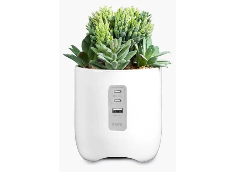 iHome Faux Succulent Charging Station