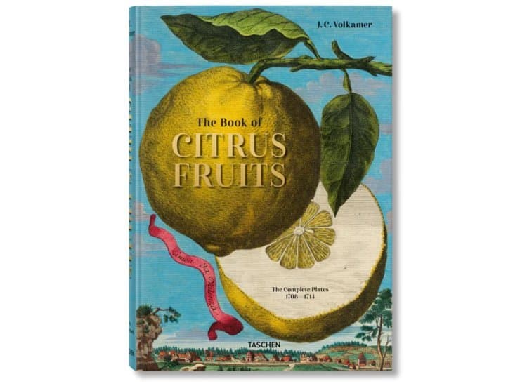 J C Volkamer The Book of Citrus Fruits